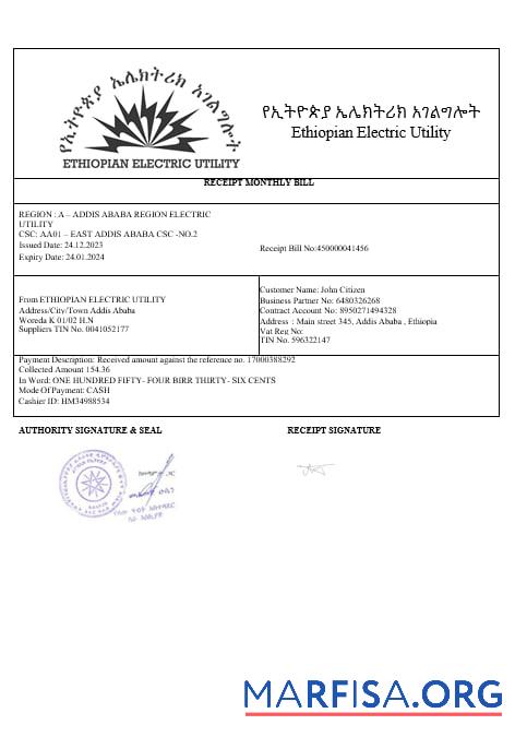 Realistic Ethiopian electric utility bill in wordand PDF formats sample